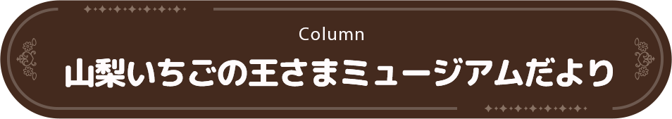 山梨いちごの王さまミュージアムだより
